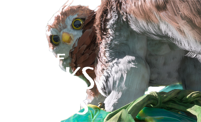 Of Peaks and Tides