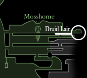 Druid Lair