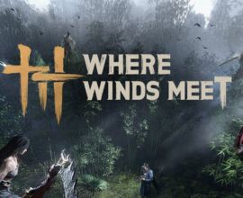 Where Winds Meet
